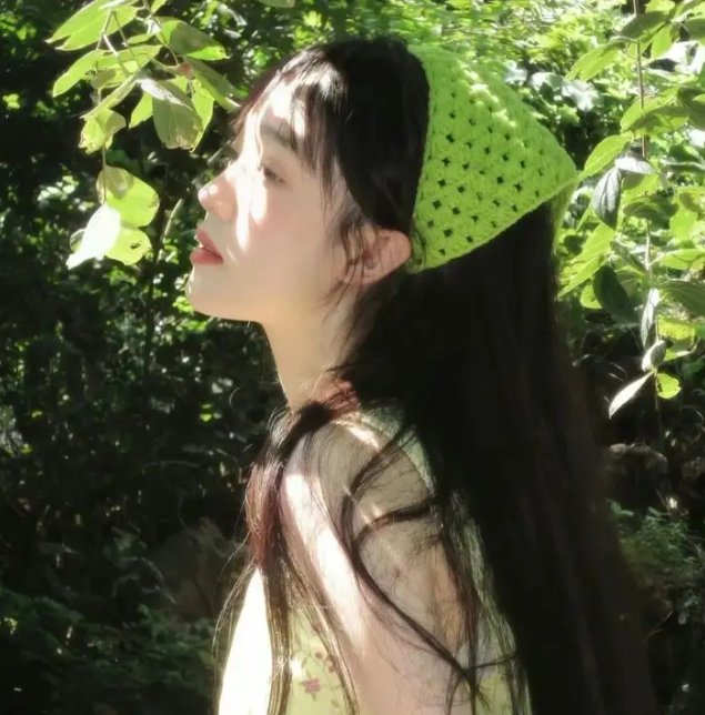 继承者风云